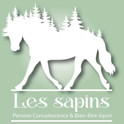 Bien-être équin et pensions convalescente pour chevaux