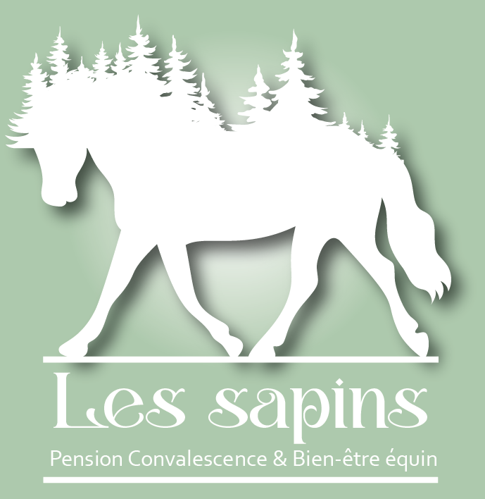 Bien-être équin et pensions convalescente pour chevaux