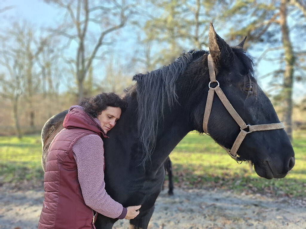 50 Entete-Accueil EARL Les Sapins Shiatsu et Bien-être Equin Pension Cheval Soins Energétiques Saint-Didier-La-Foret Allier Auvergne