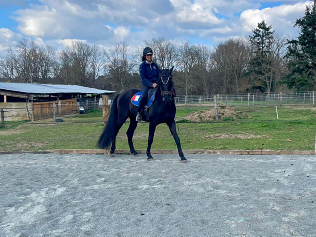 52 Entete-Dressage EARL Les Sapins Shiatsu et Bien-être Equin Pension Cheval Soins Energétiques Saint-Didier-La-Foret Allier Auvergne