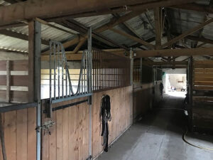 78 Installations EARL Les Sapins Shiatsu et Bien-être Equin Pension Cheval Soins