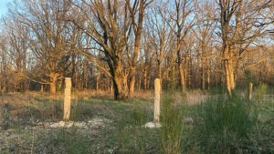 80 Totems EARL Les Sapins Shiatsu et Bien-être Equin Pension Cheval Soins