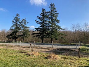 82 Carriere EARL Les Sapins Shiatsu et Bien-être Equin Pension Cheval Soins