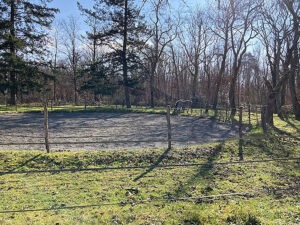 95 Rond-de-longe EARL Les Sapins Shiatsu et Bien-être Equin Pension Cheval Soins